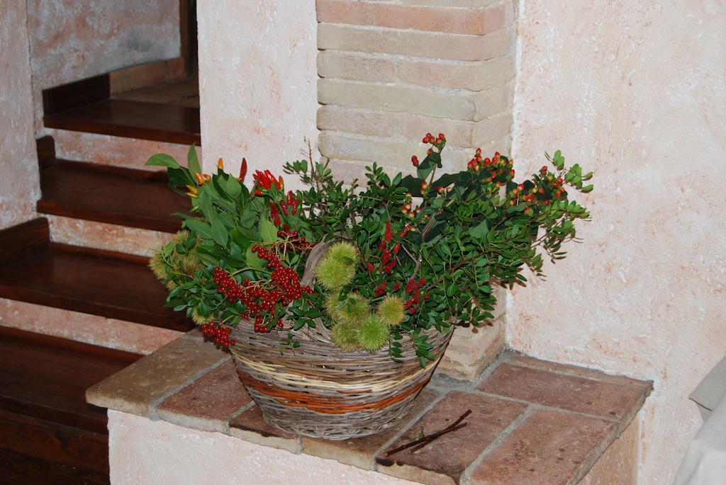 Podere Costa Romana Narni Ngoại thất bức ảnh